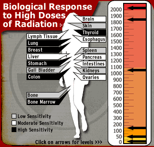 effects of radiation
