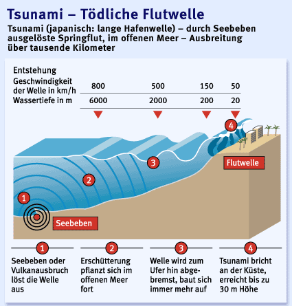 [Bild: flutwelle_kueste.gif]