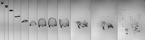 Sechzig Millisekunden aus dem Leben eines fünf Millimeter großen Regentropfens